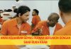 Anak Kelahiran Gemas Pernah Berlakon Dengan Shah Rukh Khan