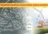 Sendayan Daripada FELDA kepada Sebuah Bandar