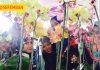 Fiesta Bunga dan Orkid 2017 Di Paroi 22-26 November Ini