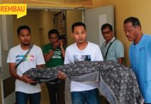 Kanak-kanak 4 Tahun Ditemui Lemas Di Dasar Kolam