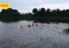 Lelaki Lemas Semasa Mencari Itik