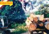 Pengeluaran Hasil Hutan, Kami Ada Lesen Sah