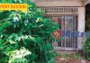 Rumah Contoh Dah Jadi Seperti Rumah Hantu